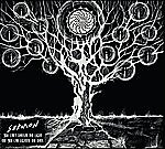 Sermon - You Can’t Darken The Light But You Can  Lighten The Dark