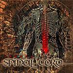 Spinal Cord - Remedy 