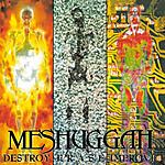 Meshuggah - Destroy Erase Improve