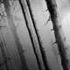 dark_ishtar