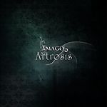Artrosis - Imago