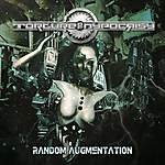 Torture Of Hypocrisy - Random Augmentation