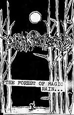 Darkstorm - The Forest Of Magic Rain