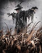Fields Of The Nephilim na Castle Party 2016
