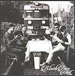 Black Bee, Rebell, rock'n'roll, hard rock