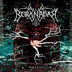 Borknagar - Empiricism