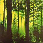 Thy Serpent - Forest Of Witchery